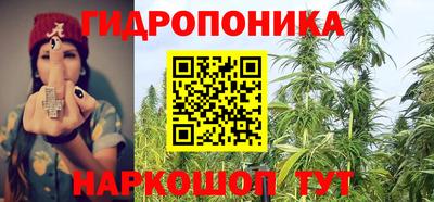 винт Дубна