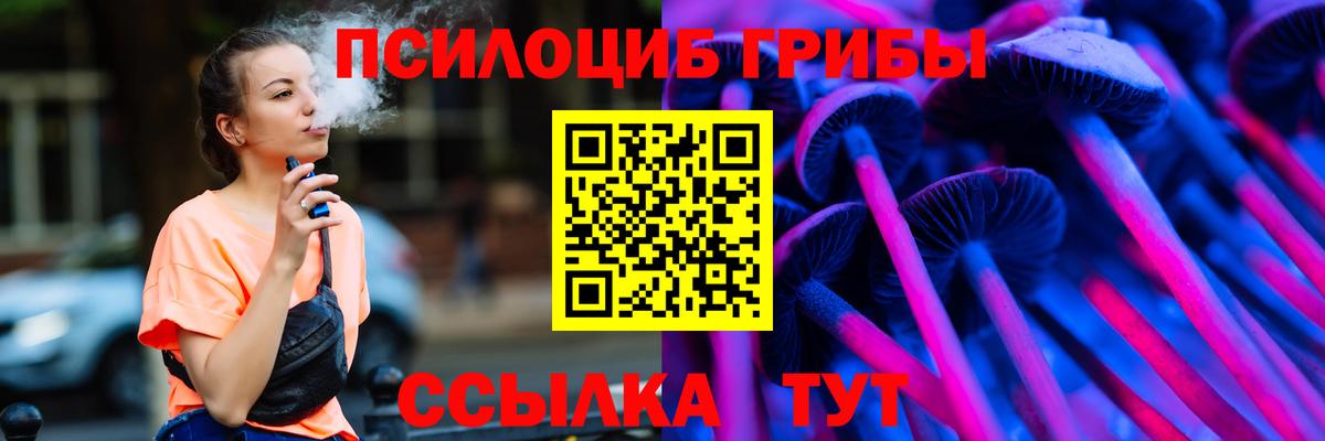 где можно купить наркотик  Вход с VPN  Михайловск  Псилоцибиновые грибы ЛСД 